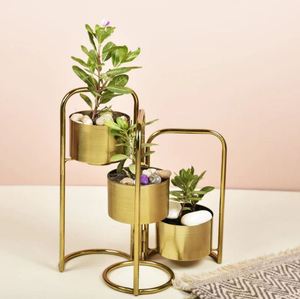 Macetas nuevas plegables de oro para jardín, interior, hierro redondo, venta al por mayor, macetas baratas de Metal, macetas para plantas - Product Image 4