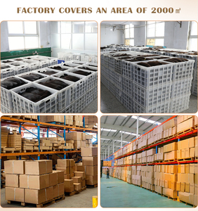 Invisible Injecté Vierge chinoise auburn Double Drawn Tape dans les extensions de cheveux humains Blonde Kinky 4b Natural Wave - Product Image 4