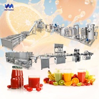 Klein-schaal guava-sap productielijn, complete productielijn voor geconcentreerd fruitverwerking, installatie-indeling