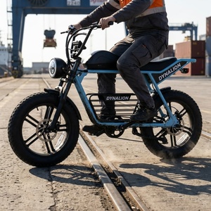 48V Elektrofahrrad mit 20-Zoll-Reifen, Harbor E-Bike für Hafeninspektion - Product Image 2