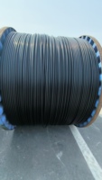 0,6/1kV 2/3/4/5-adriges Kupferkabel 16mm² 25mm² 35mm² 50mm² 70mm² 95mm² 120mm² XLPE-Stromkabel für Bauarbeiten