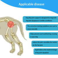 Attelle orthopédique pour dysplasie de la hanche canine avec support réglable pour les pattes arrière et soulagement de la douleur d'un ligament croisé inférieur déchiré, utilisation facile