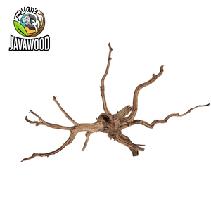 Bois décoratif en forme d'araignée naturel pour accessoires de décoration aqua scape altingia excelsa d'indonie - Product Image 4