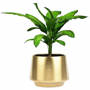 Jardinière de sol en métal fini doré de forme unique Jardinière de sol faite à la main personnalisée en usine au design classique - Product Image 1