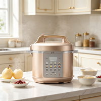 Cuisinière à pression électrique multifonction 5L/6L, cuiseur à riz automatique, appareil de cuisine pour usage domestique