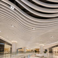 Techo de Aluminio Curvo con Diseño de Ondas, Techo Metálico Lineal Ondulado Personalizado para Decoración Interior de Centros Comerciales