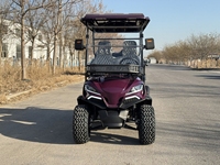 Véhicule de golf utilitaire modulaire 2/4/6/8 places au lithium, vente en gros d'usine