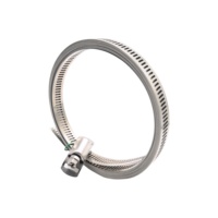Collier de serrage réglable en acier inoxydable robuste à dégagement rapide pour tuyau, type américain DIY