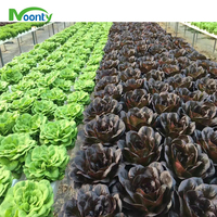 Canaux NFT en PVC de haute qualité pour la culture de légumes en serres agricoles, équipement de système hydroponique