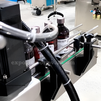 Équipement de bouchage de bouteilles avec alimentateur automatique de bouchons, compatible avec une machine de remplissage