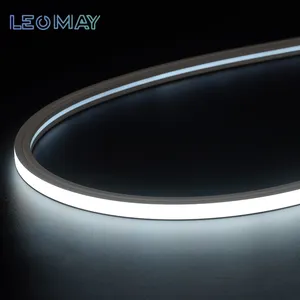 Silicone 5 Meter Length Smart Led Light Strip Neon With SMD2835 Pixel 10*10 Neon Tube