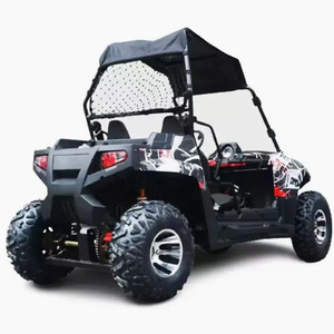 รถ UTV ใหม่ 200cc/250cc/300cc พร้อมรถพ่วง สองที่นั่ง DIY พลาสติก OEM/ODM/OBM ปรับแต่งได้ รับประกัน 3 ปี เจ้อเจียง สำหรับผู้ใหญ่ - Product Image 3