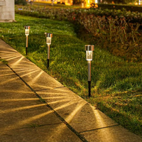 Lampe solaire LED à piquet, étanche, pour jardin, allée, pelouse, cour, décoration extérieure