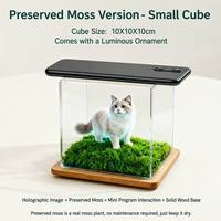 Boîte numérique holographique commémorative pour animaux de compagnie, projection 3D, présentoir en acrylique, pour chats et chiens, condoléances pour la perte d'un animal, fournisseur de services funéraires pour animaux de compagnie
