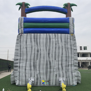 Thương mại PVC đôi trượt thư bị trả lại nhà Jumper bouncy lâu đài lớn trượt nước hồ bơi trượt nước Inflatable - Product Image 4