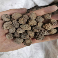 Chinese Wu Mei gedroogde pruimen, donkere pruimen, gerookte pruimen, zwarte pruimen