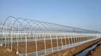 Serres tunnel en plastique Serre à fleurs pour potager