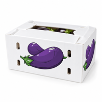 Boîte d'expédition verticale OEM en polypropylène ondulé pour légumes, 390x300x360mm, 4mm, 750GSM, impression couleur avec fenêtre découpée