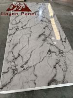 Panneau mural en marbre pour maison de luxe le plus vendu WYC