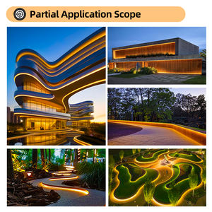 Lampu Strip LED Fleksibel Neon untuk Lanskap Kolam Renang, Lampu Air Mancur Kolam Renang Melengkung Luar Ruangan dengan CRI Tinggi yang Dapat Dibengkokkan - Product Image 2