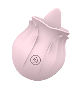 10振動舐めモードミニオナニーマッサージ2-in-1クリトリスローズボディパンティバイブレーター信じられないほどの性的快楽 - Product Image 6