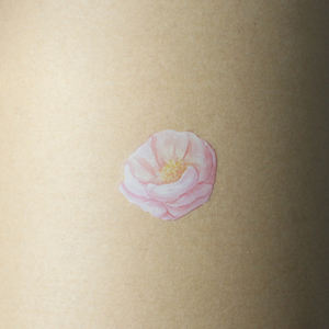 Alta qualidade transferência personalizada esfrega no adesivo crianças esfregão seco no pvc fabricante adesivo oem presentes promocionais pvc desenho animado adesivo - Product Image 3