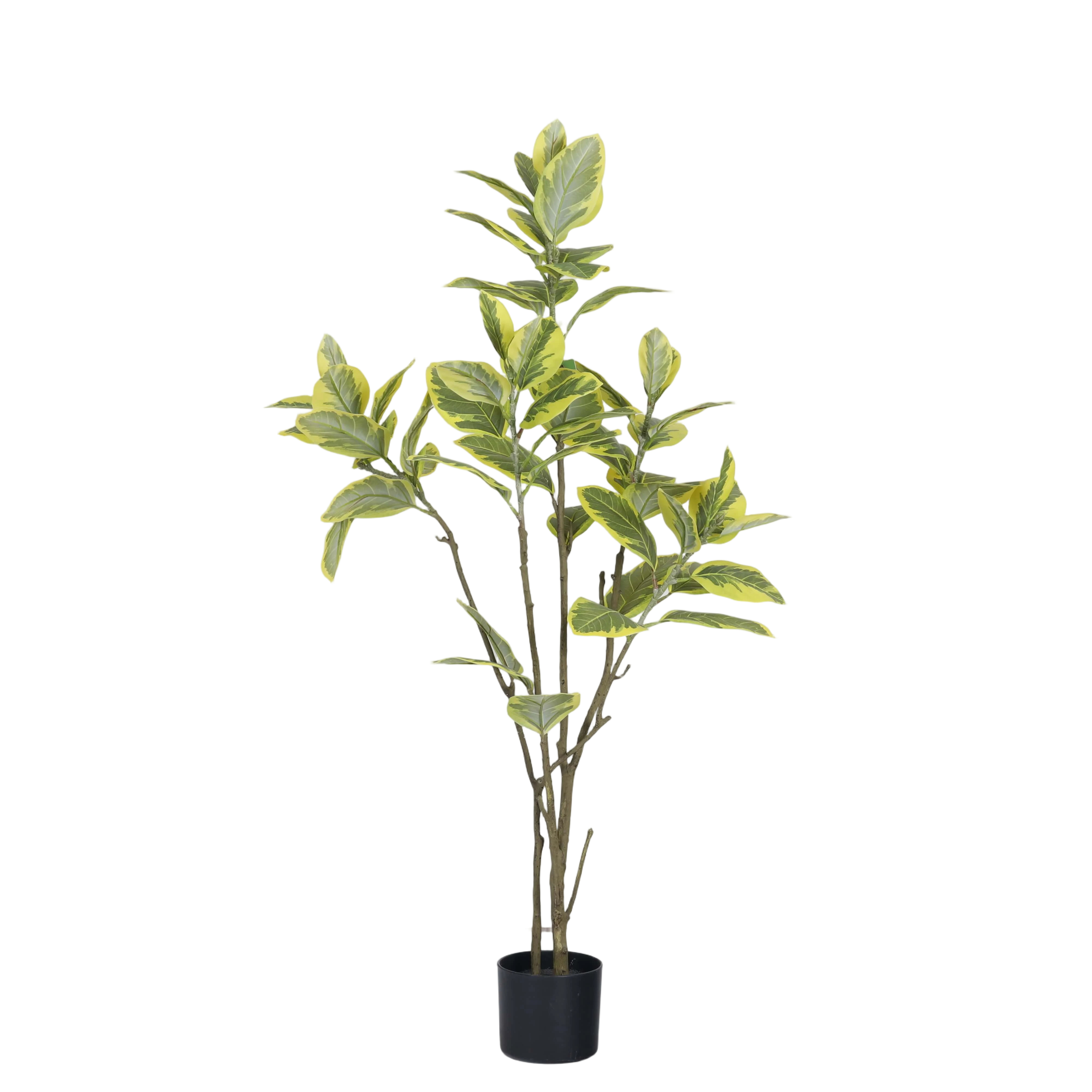 Jaune 120cm