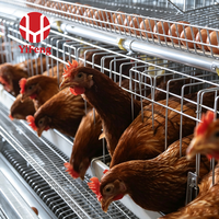 Système de cages à batterie de type A YiFeng de haute qualité, équipement commercial d'élevage de poules pondeuses, cage à batterie de type A galvanisée à chaud