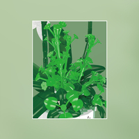 MOULD KING 24123 - Juego de Bloques de Construcción de Orquídeas Mariposa Blancas, Juguetes para Niñas y Niños, Modelo de Jardín para Armar