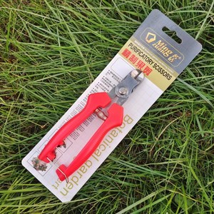 Tijeras para Frutas de Acero Inoxidable Mingzuan con Mango de PVC para Jardinería y Cosecha - Product Image 1