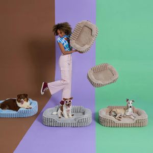 Washable Cat <b>Beds</b> for Indoor Cats, Pet <b>Sofa</b> with Removable Cushion, Rectangle Bolster Kitten <b>Bed</b> with Anti-Slip Bottom - Product Image 1