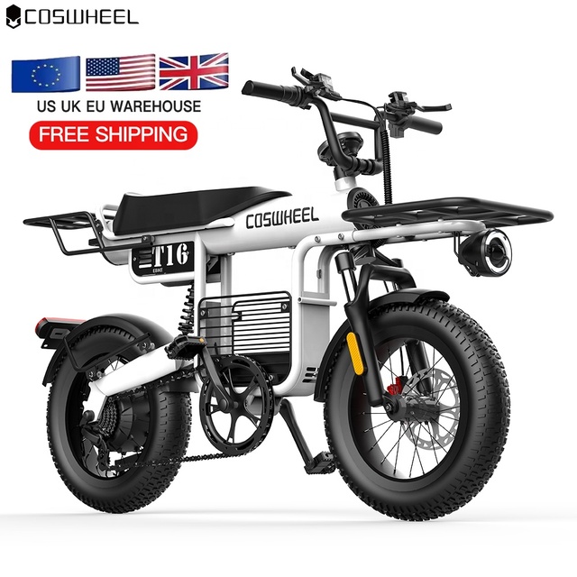 16x4.0 Fat Tire Ebike 750w 1000w Fat Tire Mountain Bike Ebike Folding Tricycle Cruiser E Bikes with Fat Tire
