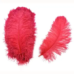 Dyed 55-60cm Excellent Quality Big Red Ostrich Feather Centerpieces Color 30-35cm Plums Ostrich feathers for Wedding Decoration