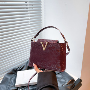 Nuova Borsa di Lusso per Donna con Texture Lychee e Foulard in Seta, Elegante Tracolla Obliqua di Alta Moda - Product Image 2
