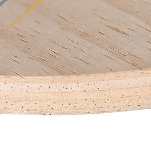 Court — <span class=keywords><strong>raquette</strong></span> <span class=keywords><strong>de</strong></span> <span class=keywords><strong>Tennis</strong></span> <span class=keywords><strong>de</strong></span> <span class=keywords><strong>Table</strong></span> walcher Legend en fibre <span class=keywords><strong>de</strong></span> carbone, <span class=keywords><strong>raquette</strong></span> horizontale verticale, accessoire professionnel, à poser au sol - Product Image 6