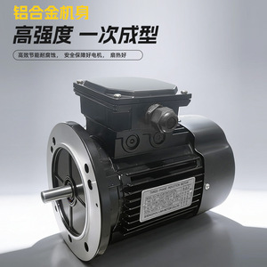 มอเตอร์แบบอะซิงโครนัสสามเฟส 250W 380V อุปกรณ์เครื่องกลประสิทธิภาพสูงสำหรับอุตสาหกรรม - Product Image 4