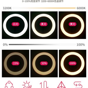 โคมไฟตั้งพื้น LED ขนาด 15-30 ซม. พร้อมสวิตช์ควบคุมพื้นที่ส่องสว่าง สำหรับสัก ทำเล็บ นวด อ่านหนังสือ และถ่ายทอดสด - Product Image 5