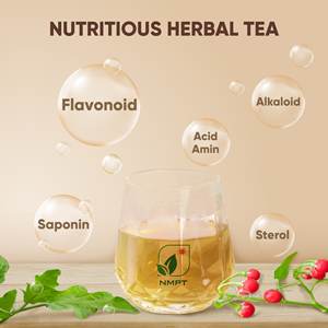 Solution d'exportation de thé aux herbes de qualité supérieure personnalisée OEM ODM, thé santé au Solanum Procumbens avec 40 sachets de thé - Product Image 5