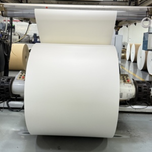 Papier cupstock de haute qualité enduit de PE en rouleau jumbo pour la fabrication de gobelets alimentaires jetables et de bols à salade - Product Image 4