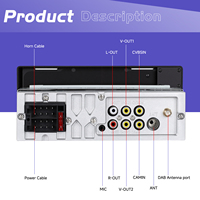 Reproductor MP5 para Auto Podofo de 6.9 Pulgadas, Autoradio IPS con Carplay Inalámbrico y Android Auto, DAB, SWC, DVR, Tipo C, USB, ODM