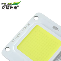 Precio al por mayor: Fuente de luz LED COB 4640 de 50W 30V para inundación y jardín, eficiente, con chips Epistar y Sanan