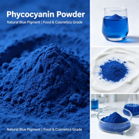 Vente directe usine – Extrait de spiruline bleue 100 % pur, soluble dans l'eau, phycocyanine en poudre, extrait végétal de qualité alimentaire