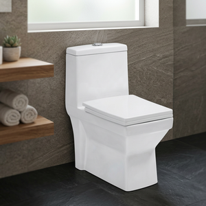 Africa Classic Ceramic One Piece WC P <b>Trap</b> Siphonic Flush Floor Mounted Western Water Closet Toilet - Product Image 2