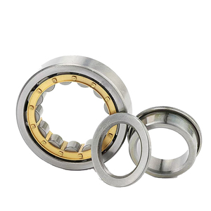 Source Factory NU224E Direct <b>Roller</b> Compatible Motors Long-Life Bearing - Product Image 3