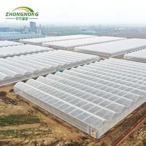Low <strong>Cost</strong> Multi- Span Multi <strong>Tunnels</strong> Agricultural Green House Steel Frame Tropical PE Film Greenhouses Complete Set Plant Tomato - Product Image 5
