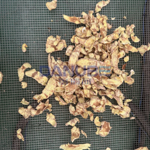 Advanced Ginger Slice Tunnel Dryer Ginger Dehydrator Equipment Ginger Slice Microwave Drying Machine - Product Image 3