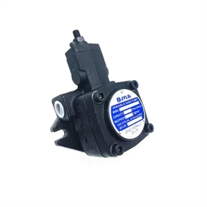 Bomba de Cuchillas Variables ZJYLSI Original y Genuina VP-SF-30-D 40 - Product Image 1