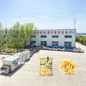 Linea di Produzione Automatica di <span class=keywords><strong>Patatine</strong></span> <span class=keywords><strong>Fritte</strong></span> Congelate DY con <span class=keywords><strong>Disegni</strong></span> Forniti, Capacità 200-3000kg/h - Product Image 2