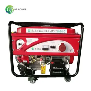 6KW Dual Fuel Multifunctionele Draagbare Gas Aangedreven Generator/Lpg/Aardgas Generator Set