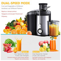 Elektrische commerciële & huishoudelijke draagbare slowjuicer van roestvrij staal met automatische pulp-afvoer